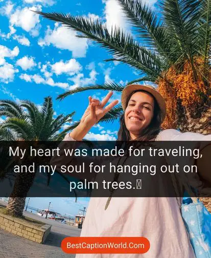 palm-tree-captions-for-instagram