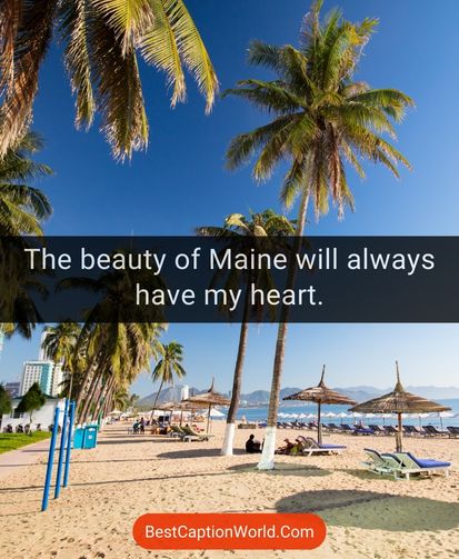 maine-captions