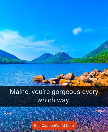 puns-about-maine