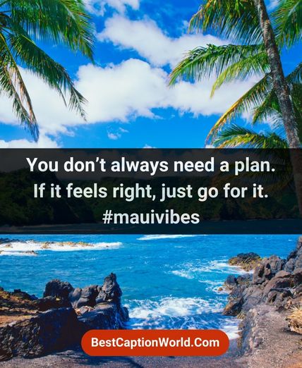 maui-quotes