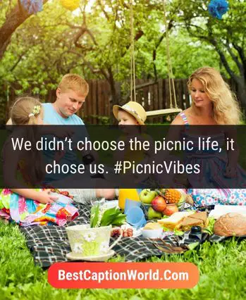 picnic-captions-for-instagram