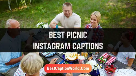 picnic-instagram-captions