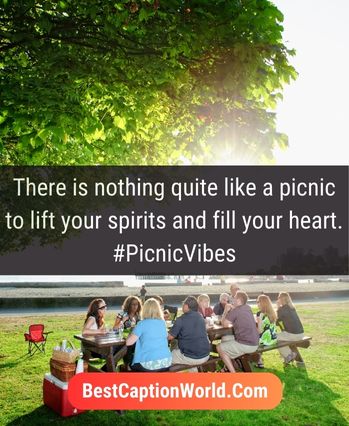 picnic-quotes-for-instagram